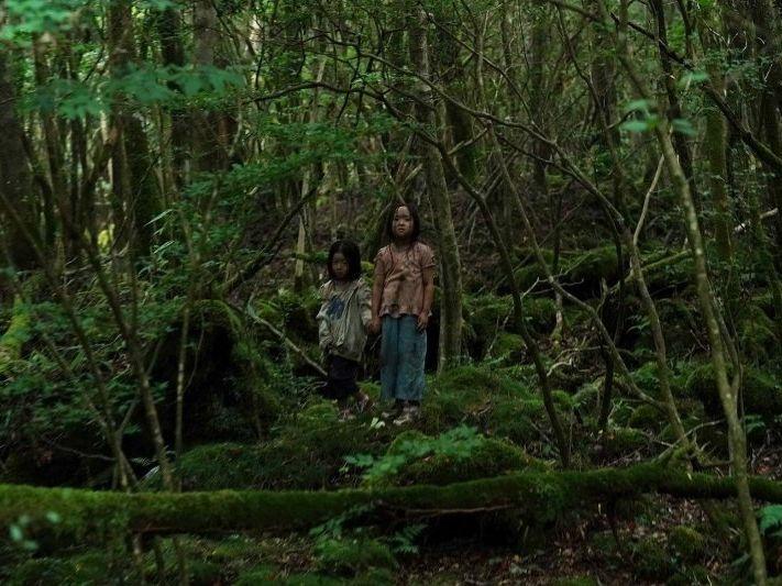 《树海村》都市传说的恐怖村庄 新片看点整理