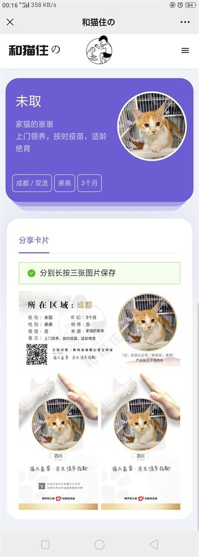 Thinkphp5内核流浪猫流浪狗宠物领养平台H5源码 可封装APP