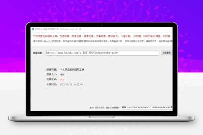 十大网盘链接密码提取工具