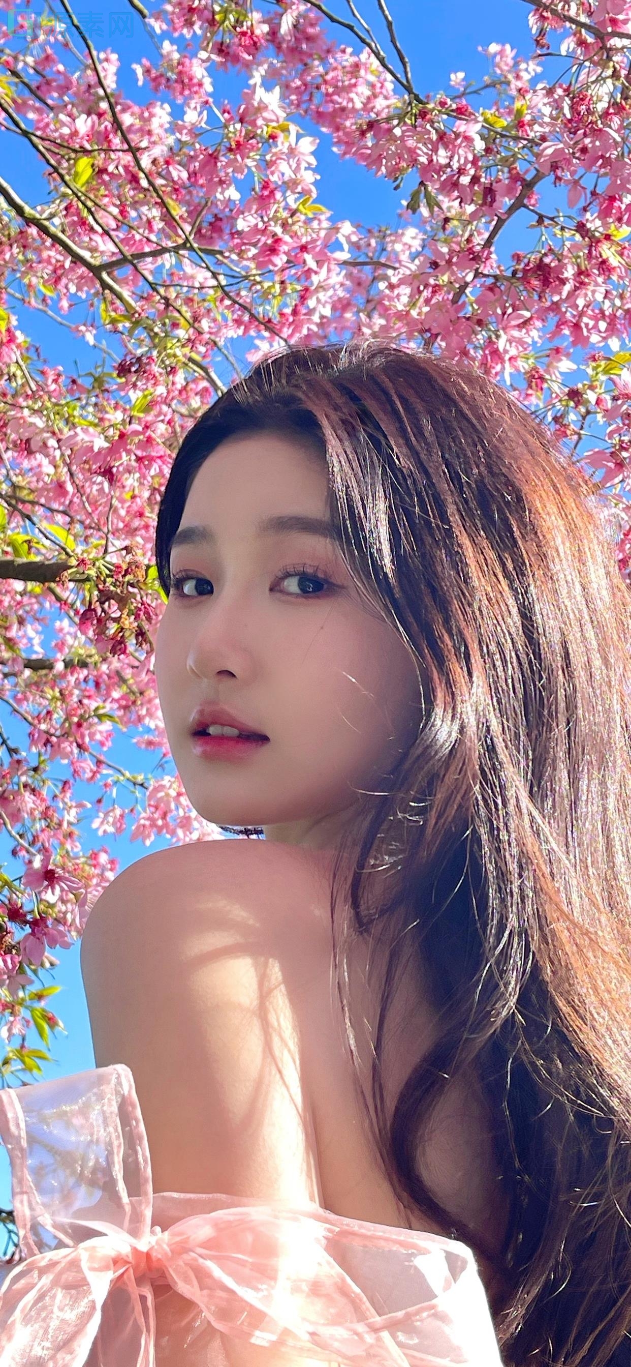 【手机壁纸】一个人仅仅因为软弱无能或优柔寡断就完全可能招致痛苦