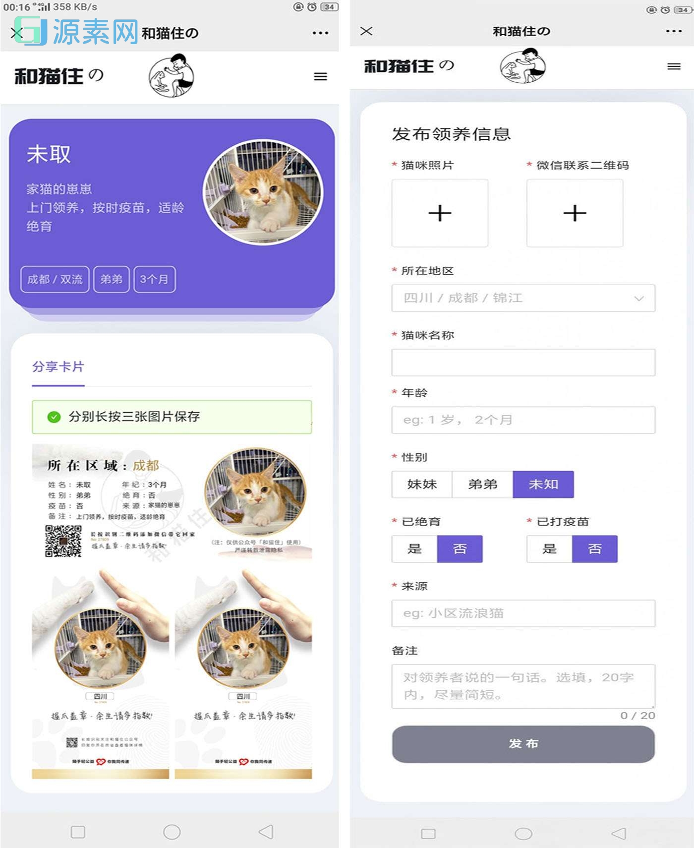 流浪猫流浪狗领养源码