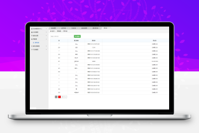 站长亲测版 微聊/原生APP/带教程/带机器人