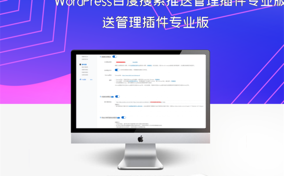 WordPress百度搜索推送管理插件专业版