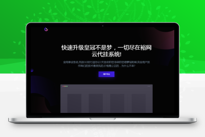 新版QQ代挂四套模板-QQ等级代挂系统源码