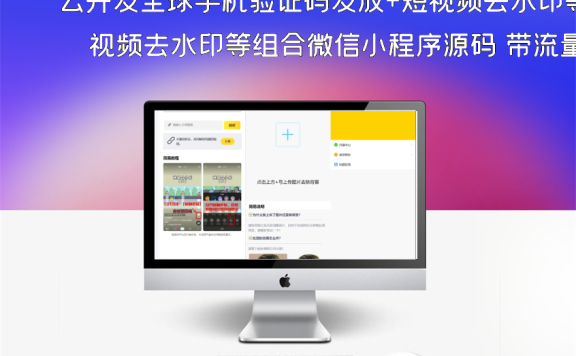 云开发全球手机验证码发放+短视频去水印等组合微信小程序源码 带流量主