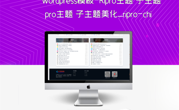 wordpress模板-Ripro主题 子主题美化_ripro-child下载站主题