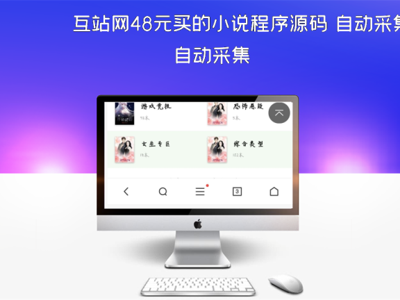 互站网48元买的小说程序源码 自动采集