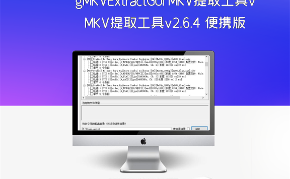 gMKVExtractGUI MKV提取工具v2.6.4 便携版