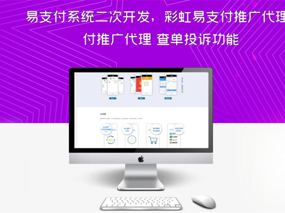 易支付系统二次开发，彩虹易支付推广代理 查单投诉功能