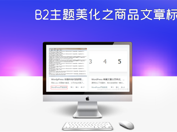 B2主题美化之商品文章标签化