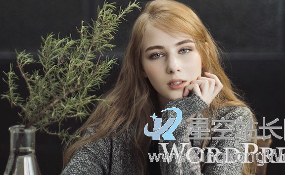 如何让WordPress博客获取站点总访问量