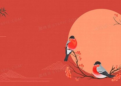 新闻9点见丨天问一号发射两周年，传回火卫一高清影像